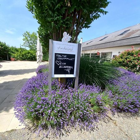 Storchencamp Gaestehaus Purbach Purbach am Neusiedlersee Zewnętrze zdjęcie