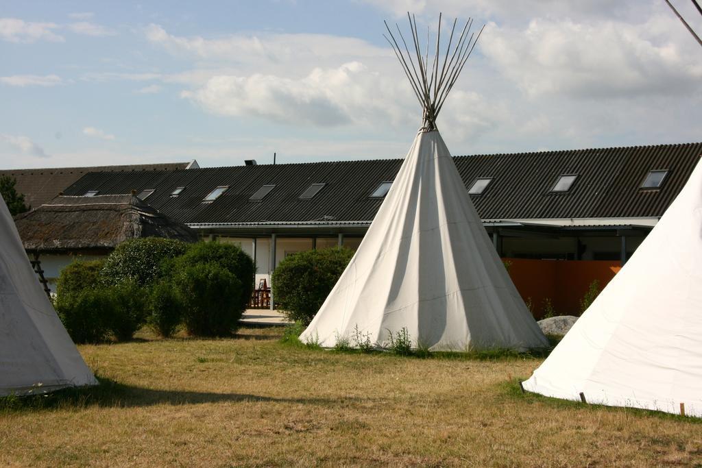 Storchencamp Gaestehaus Purbach Purbach am Neusiedlersee Zewnętrze zdjęcie