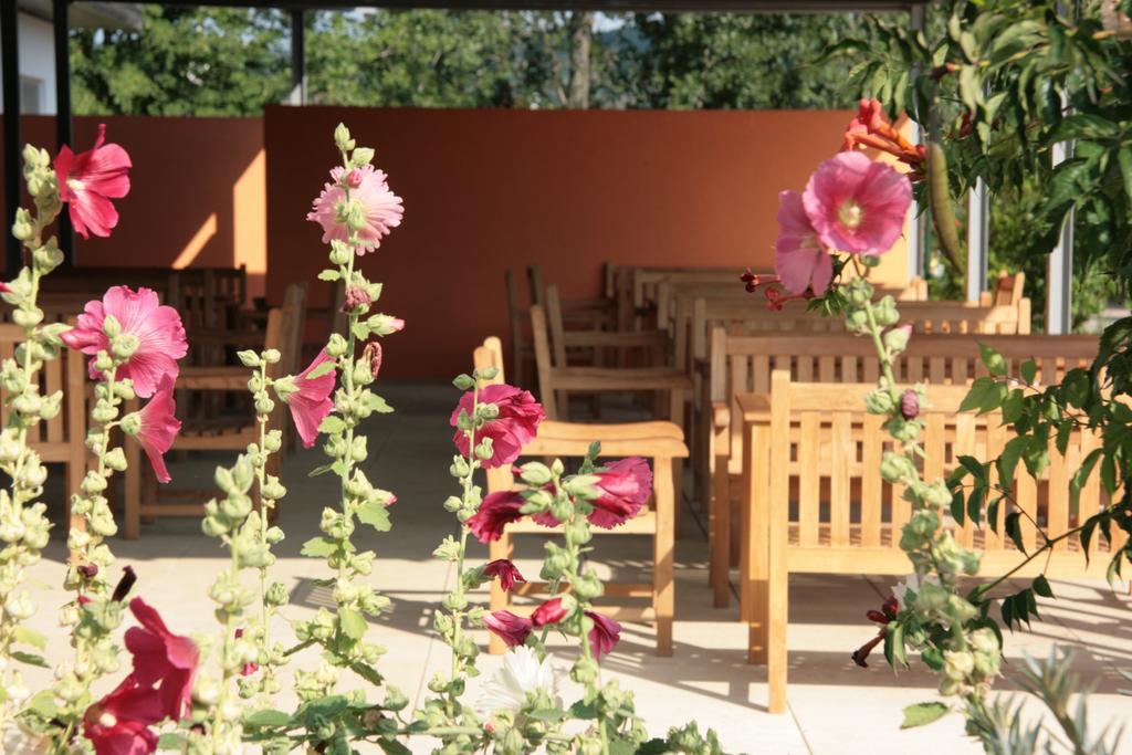Storchencamp Gaestehaus Purbach Purbach am Neusiedlersee Zewnętrze zdjęcie