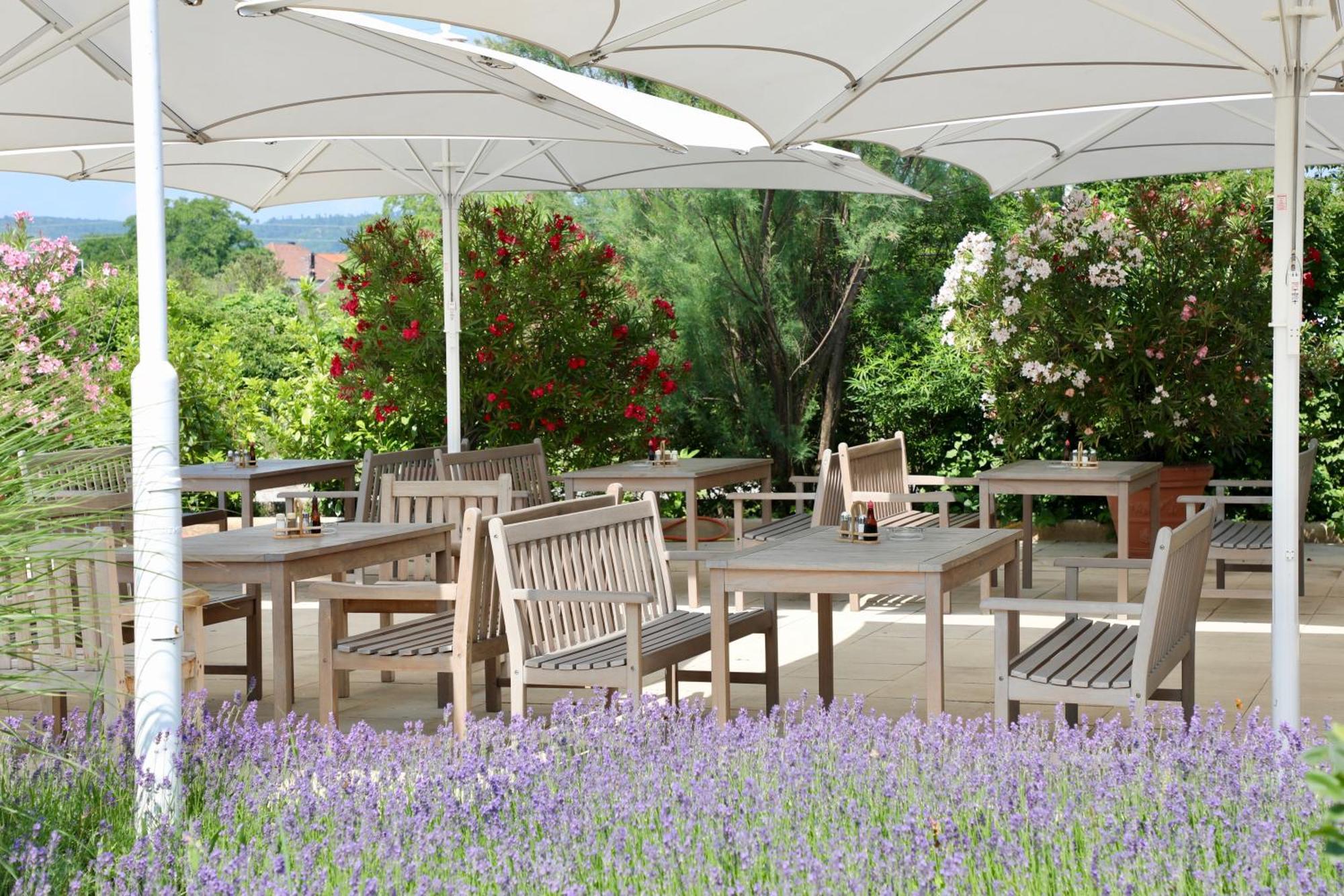Storchencamp Gaestehaus Purbach Purbach am Neusiedlersee Zewnętrze zdjęcie