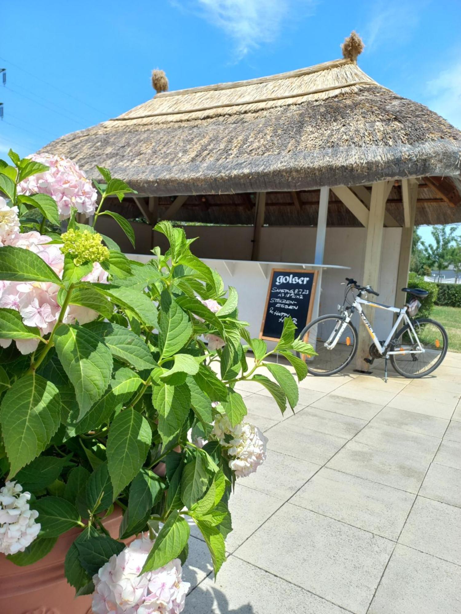 Storchencamp Gaestehaus Purbach Purbach am Neusiedlersee Zewnętrze zdjęcie