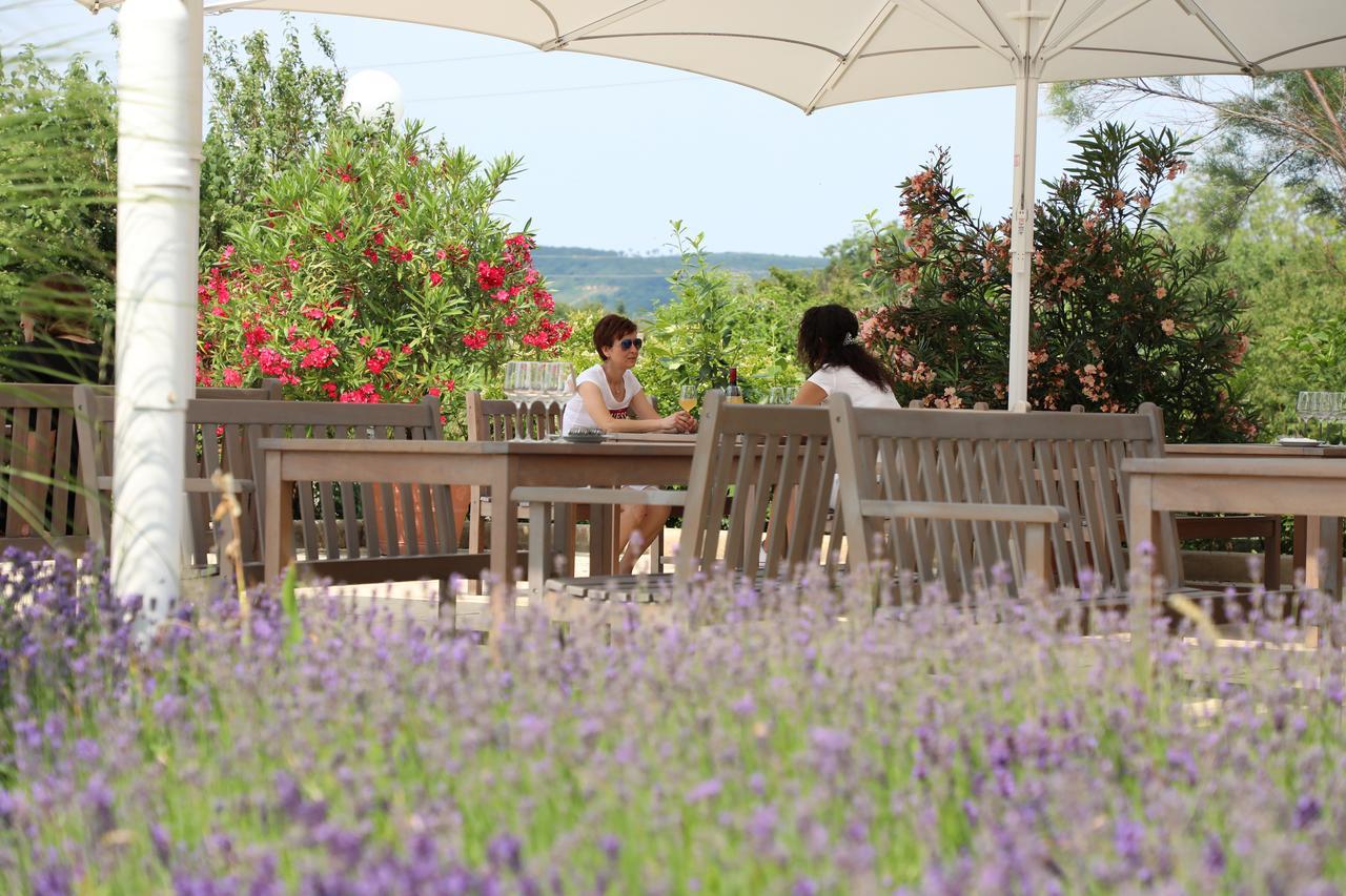 Storchencamp Gaestehaus Purbach Purbach am Neusiedlersee Zewnętrze zdjęcie